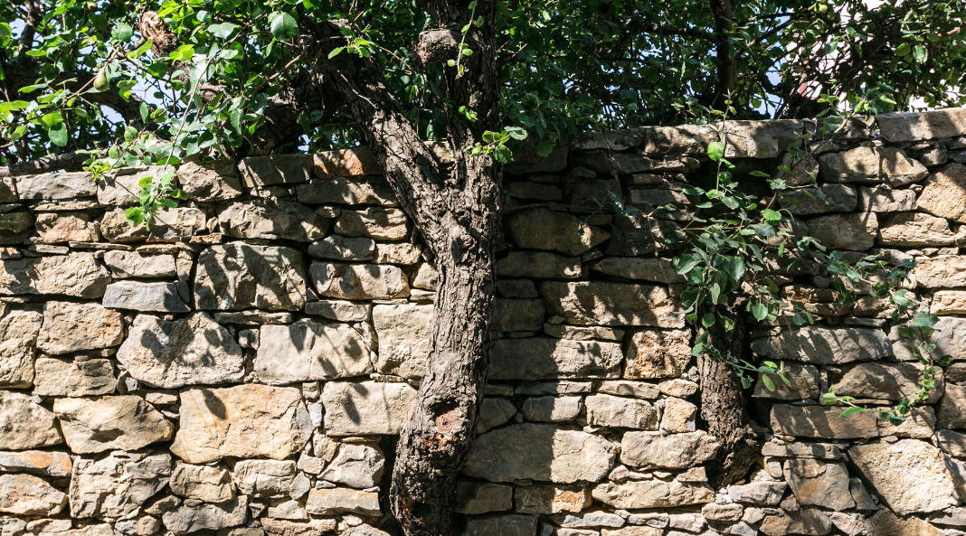 Reccotiles Natural Design Il Lato Meraviglioso Della Natura In Un Progetto